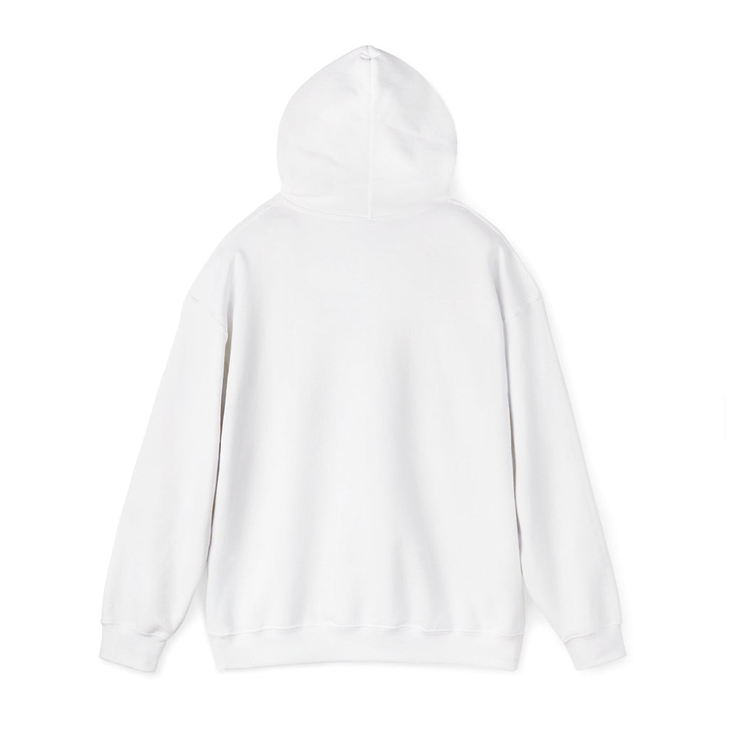 Unisex Heavy Blend™ Hooded Sweatshirt - all i need is time and money