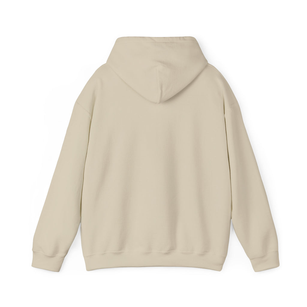 Unisex Heavy Blend™ Hooded Sweatshirt - i have money but i dont have time