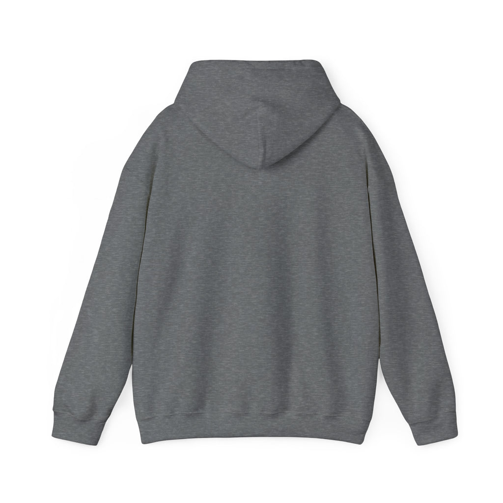 Unisex Heavy Blend™ Hooded Sweatshirt - yesterday is history