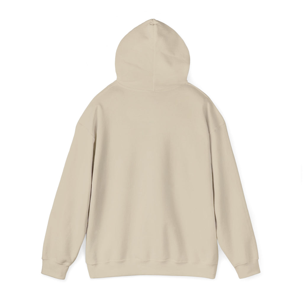Unisex Heavy Blend™ Hooded Sweatshirt - all i need is time and money