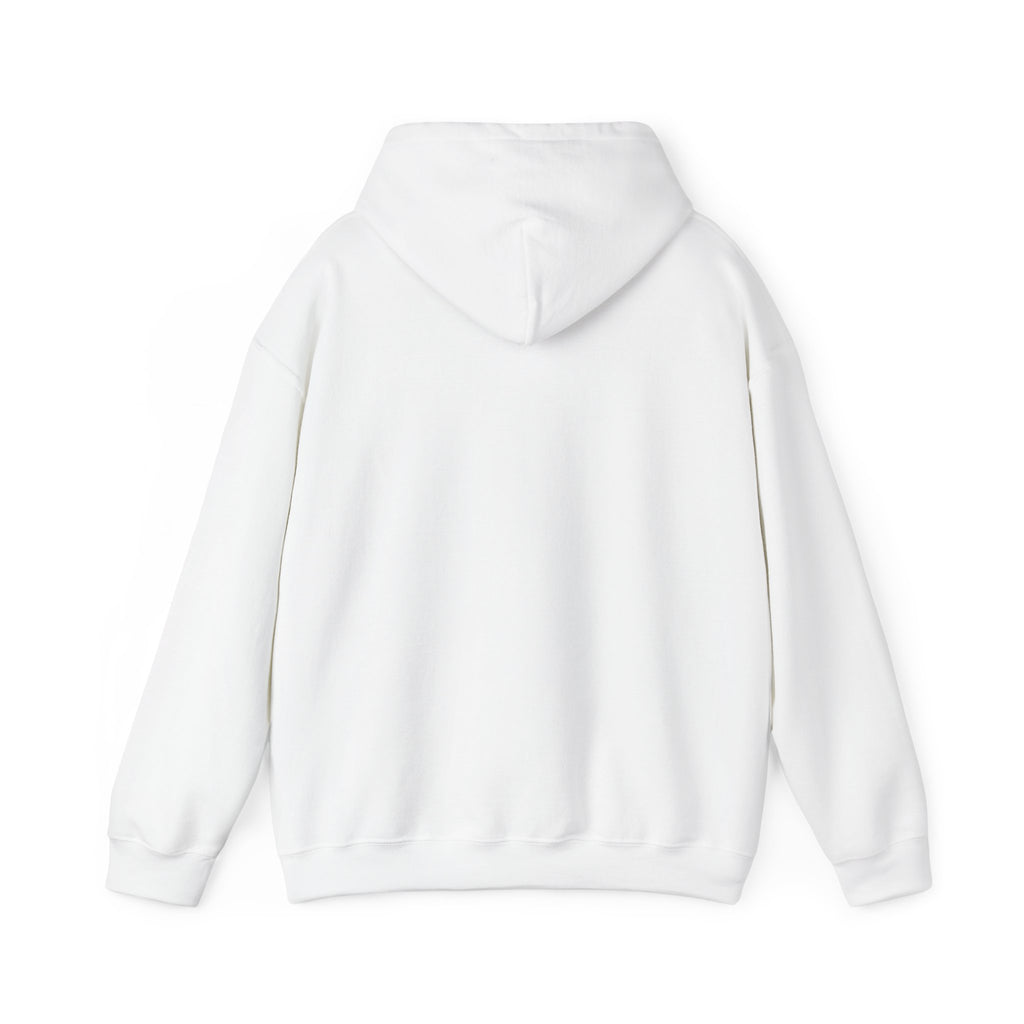 Unisex Heavy Blend™ Hooded Sweatshirt - yesterday is history