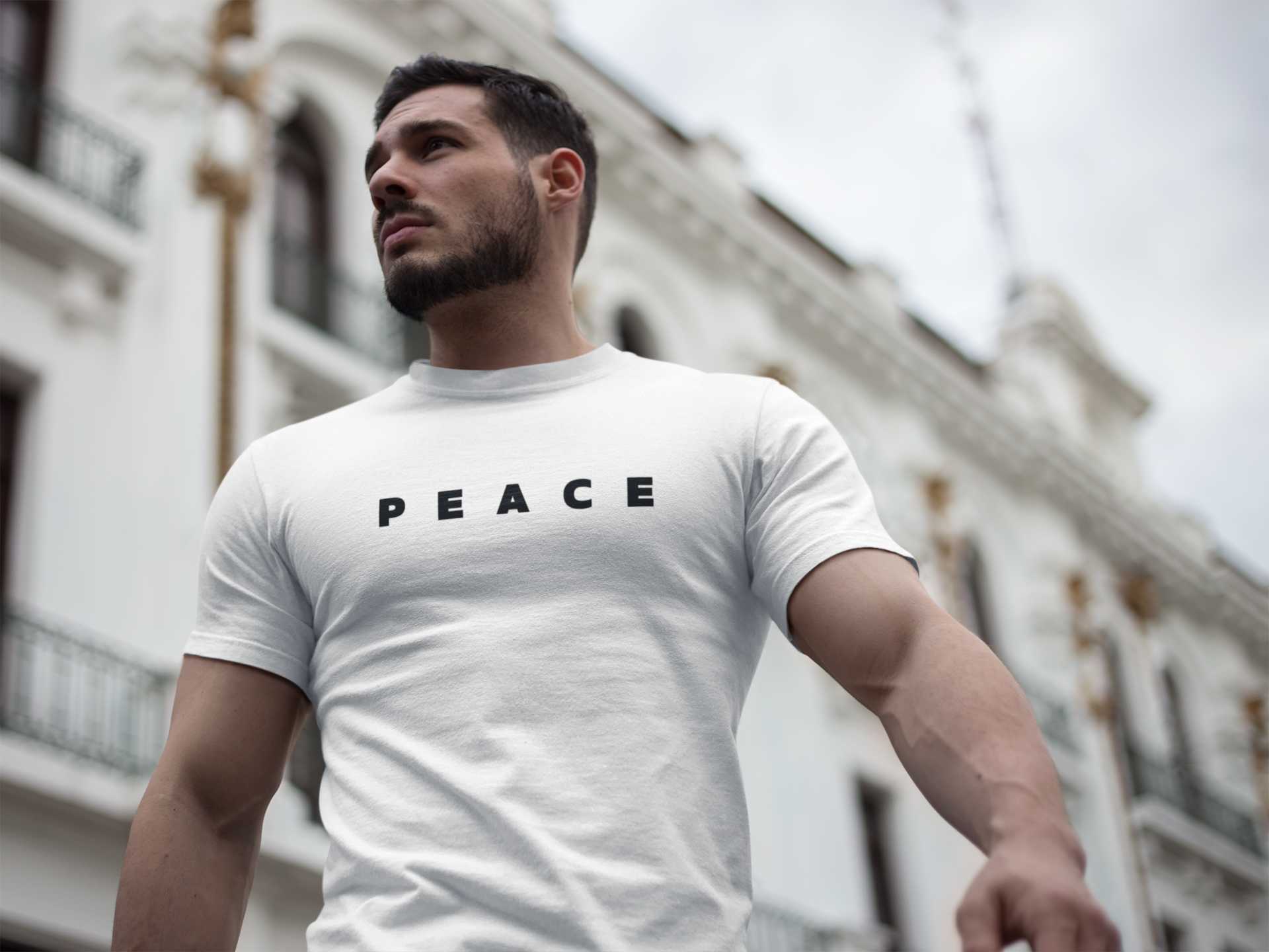 Peace Freedom Quote T‑Shirt, Unisex Heavy Cotton Graphic Tee, Positive Inspirational Shirt, Gift for Him or Her