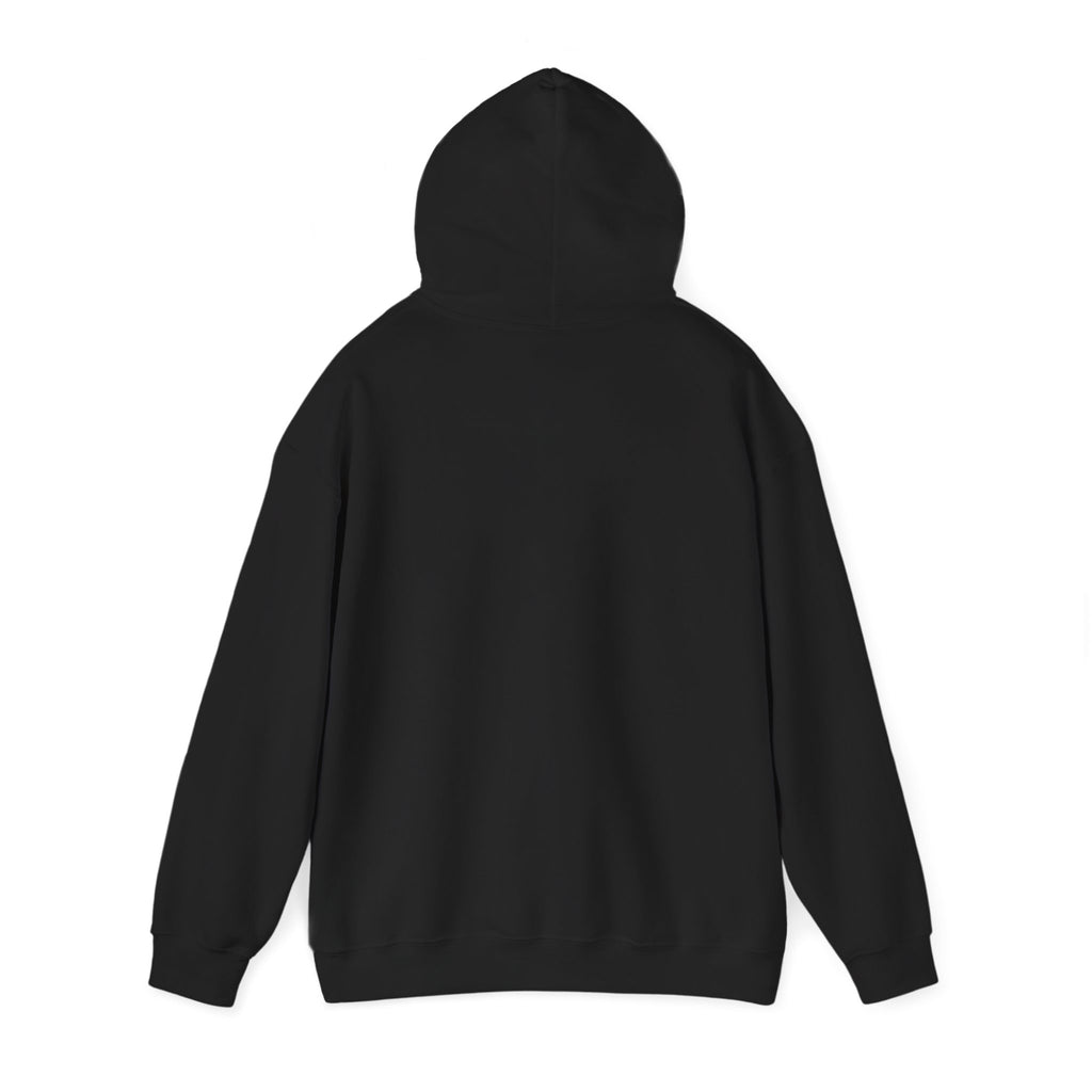 Unisex Heavy Blend™ Hooded Sweatshirt - all i need is time and money