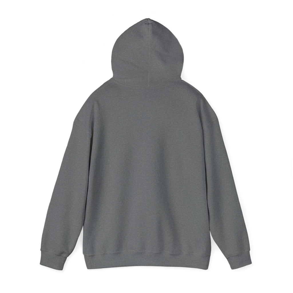 Unisex Heavy Blend™ Hooded Sweatshirt - yesterday is history