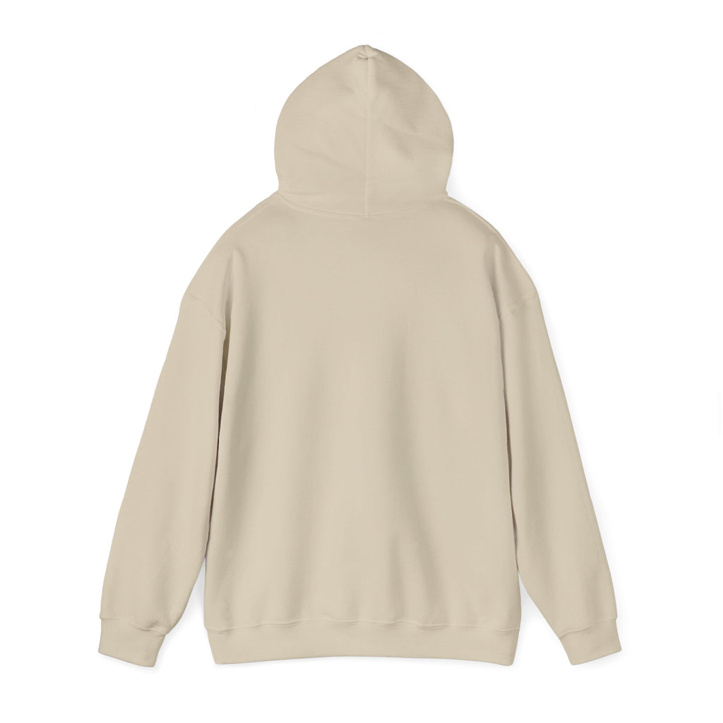 Unisex Heavy Blend™ Hooded Sweatshirt - yesterday is history