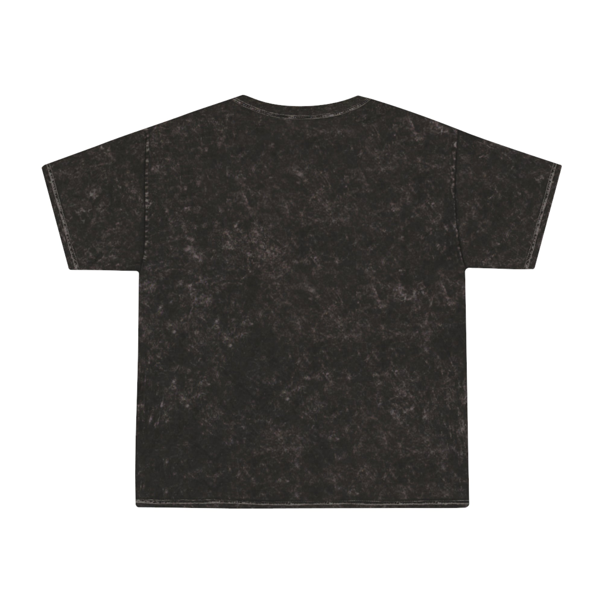 Unisex Mineral Wash Tee - Dinosaur Tee, T-Rex Shirt, Vintage Style T-Shirt